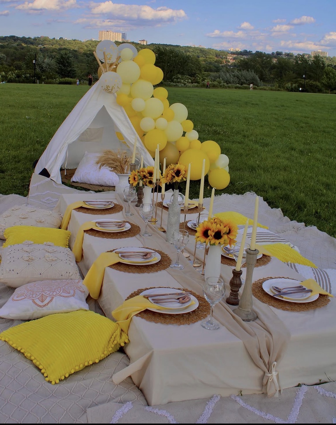 Private and Group Picnics